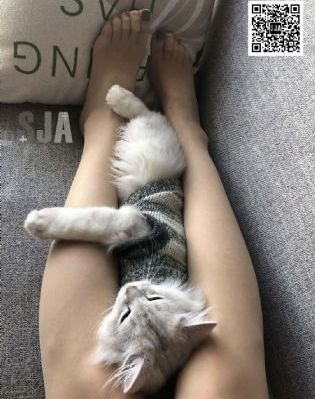 大话西游2高清免费国语_国产剧日韩电影在线