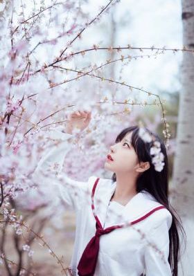 野花韩国日本_蓝光免费观看